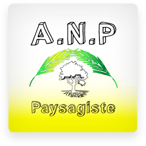 Logo ANP